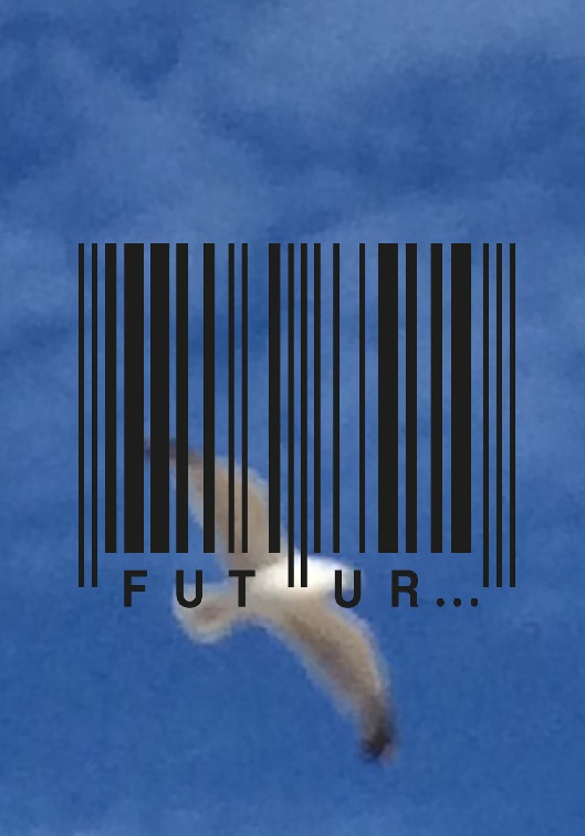 thumbnail of Thierry-SARFIS-futur